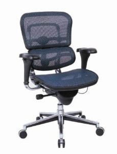 Eurotech Seating Ergohuman Collection High Back Ergonomic Chair