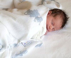 Hanchell Babies Organic Muslin Swaddle Blankets