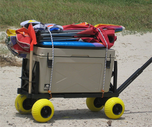 beach carrier